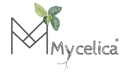 logo Mycelica