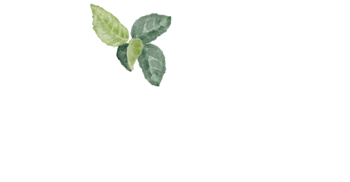 logo mycelica trasparente