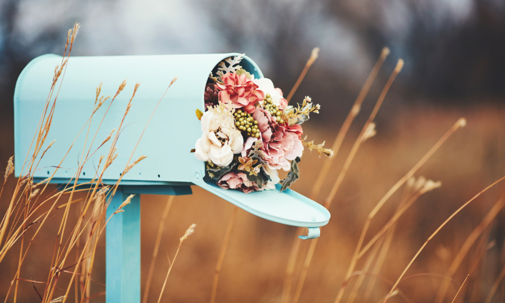 scrivi una mail a mycelica