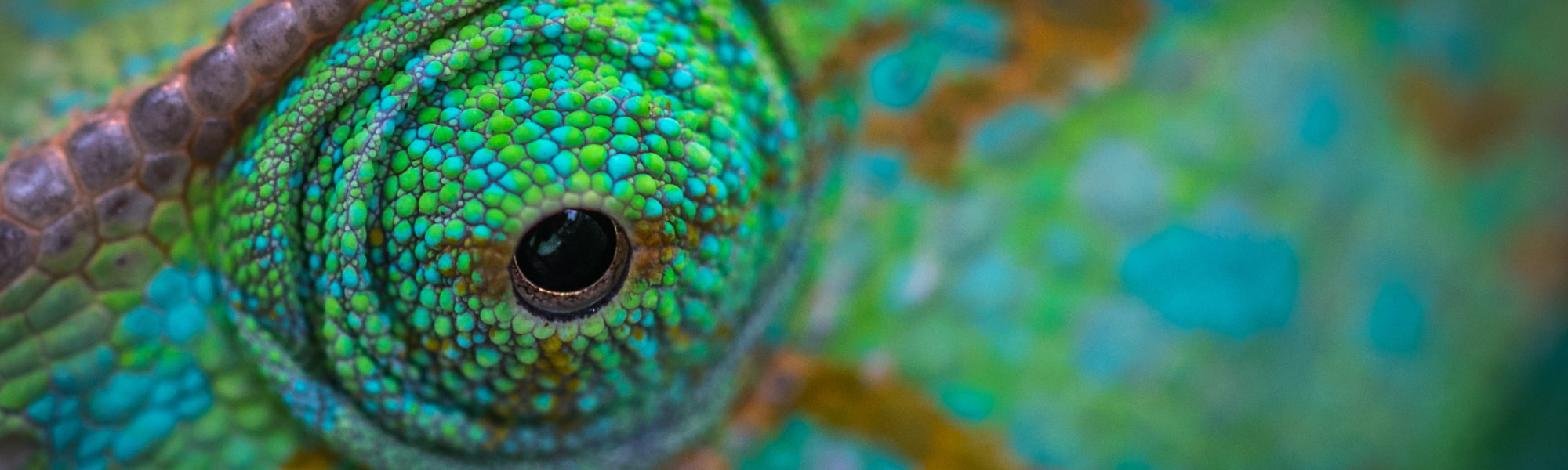 la via naturale alla creatività